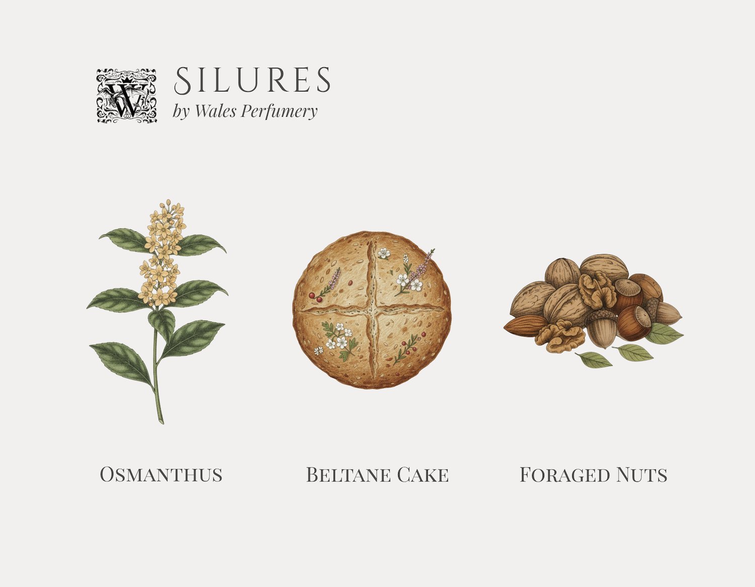 Perfume Discovery Set - The Celts - Image 4