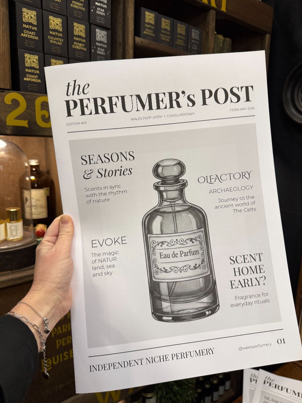 a hand holding a printed newspaper, it is called the perfumer's post and has a vintage style perfume bottle on the front page