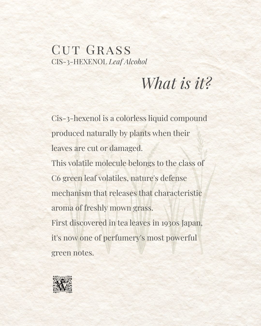 An informational card explaining what cis-3-hexenol is: a colourless liquid compound produced naturally by plants when their leaves are cut or damaged, first discovered in tea leaves in 1930s Japan.