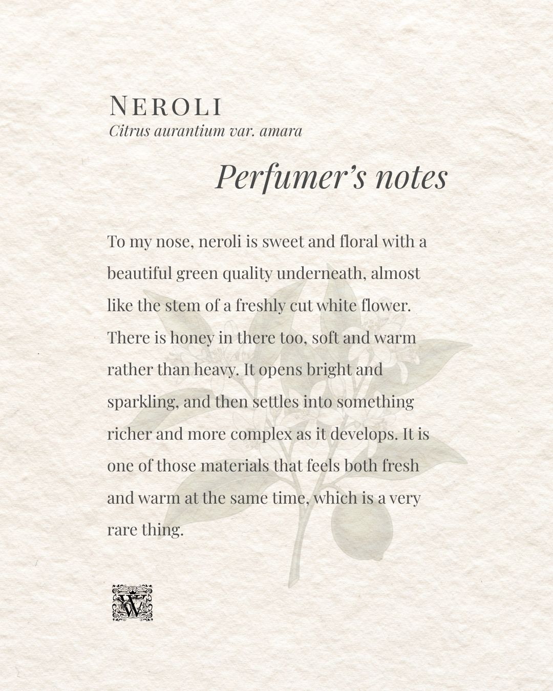 A portrait format information card on a textured cream background. The header reads Neroli with the subtitle Citrus aurantium var. amara. The italic heading Perfumer's notes appears centred. The body text describes neroli as sweet and floral with a green quality underneath, like the stem of a freshly cut white flower, with honey facets that are soft and warm rather than heavy. It notes that neroli opens bright and sparkling before settling into something richer, and that it is one of the rare materials that feels both fresh and warm at the same time. A faint botanical illustration of a bitter orange branch with leaves and fruit sits in the lower right. The Wales Perfumery monogram appears at the bottom left.