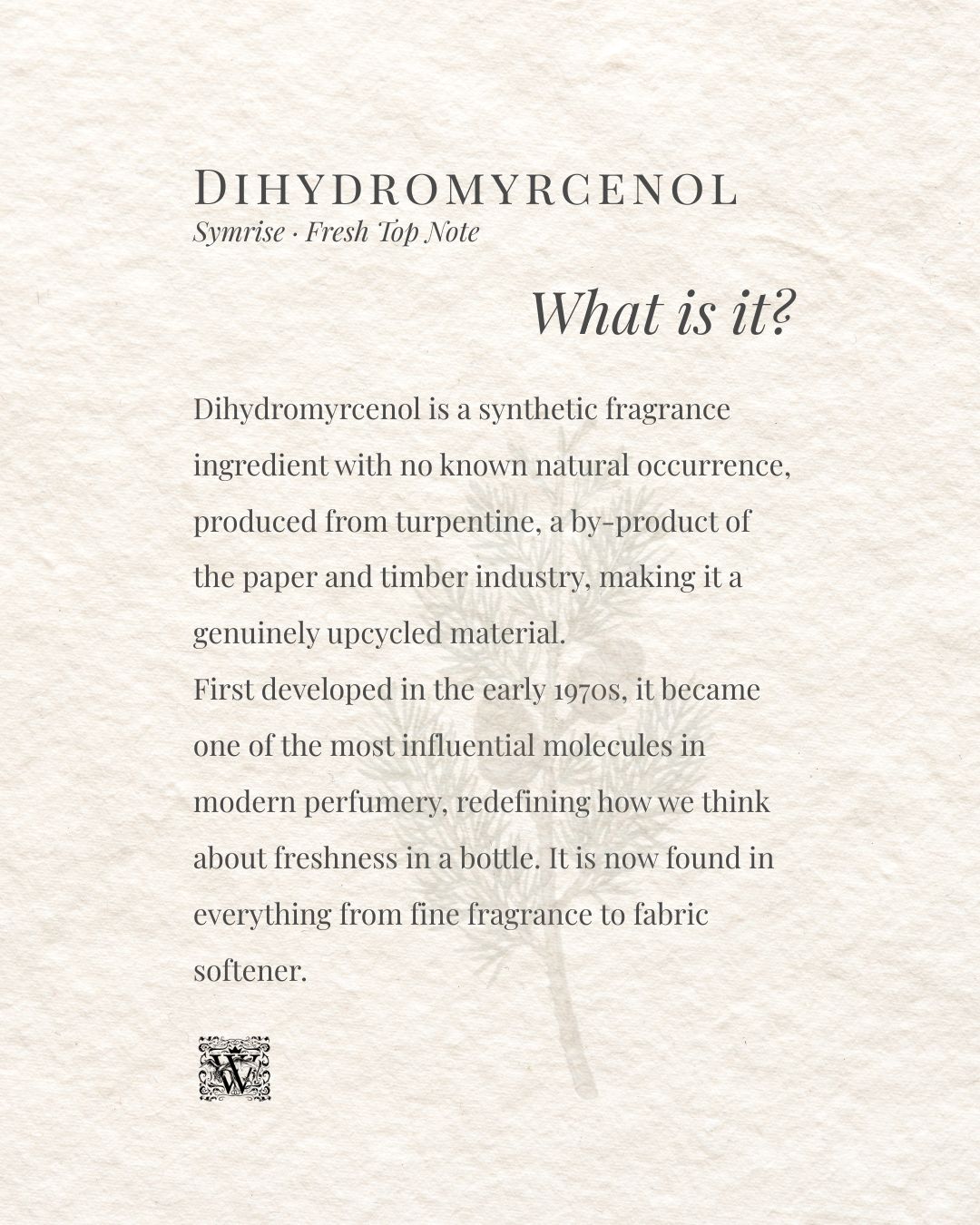 A portrait format information card on a textured cream background. The header reads Dihydromyrcenol with the subtitle Symrise · Fresh Top Note. The italic heading What is it? appears right-aligned. The body text explains that dihydromyrcenol is a synthetic fragrance ingredient with no known natural occurrence, produced from turpentine as a by-product of the paper and timber industry, and that it became one of the most influential molecules in modern perfumery since its development in the early 1970s. A faint botanical illustration of a pine branch sits in the lower right. The Wales Perfumery monogram appears at the bottom left.