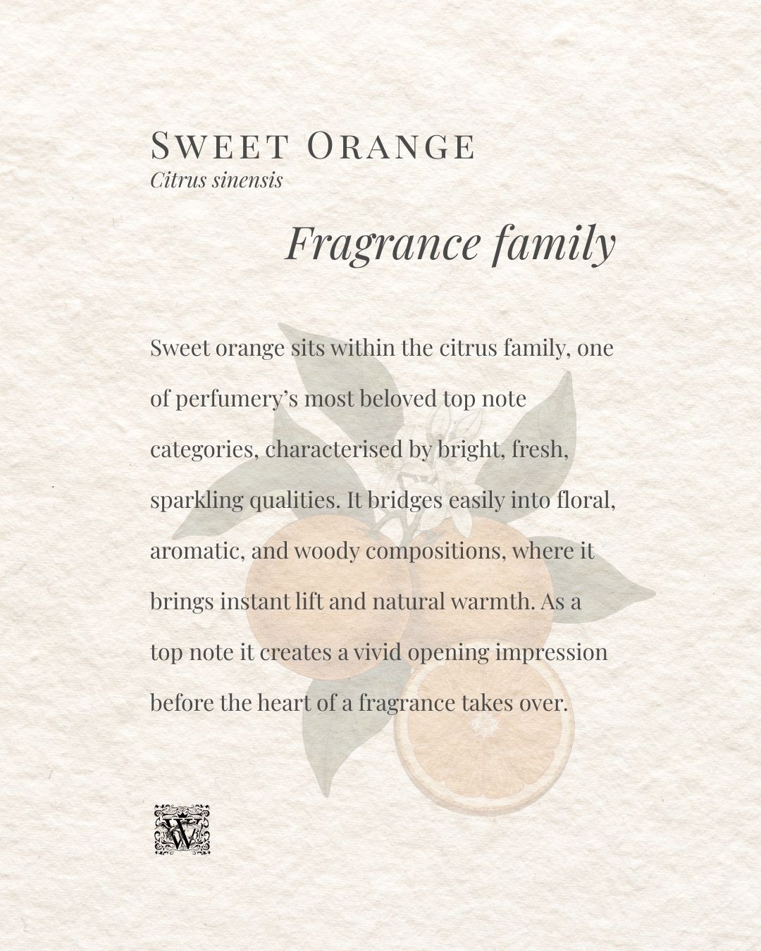 Sweet Orange fragrance family card by Wales Perfumery, describing Citrus sinensis as a top note citrus material that bridges into floral, aromatic, and woody compositions