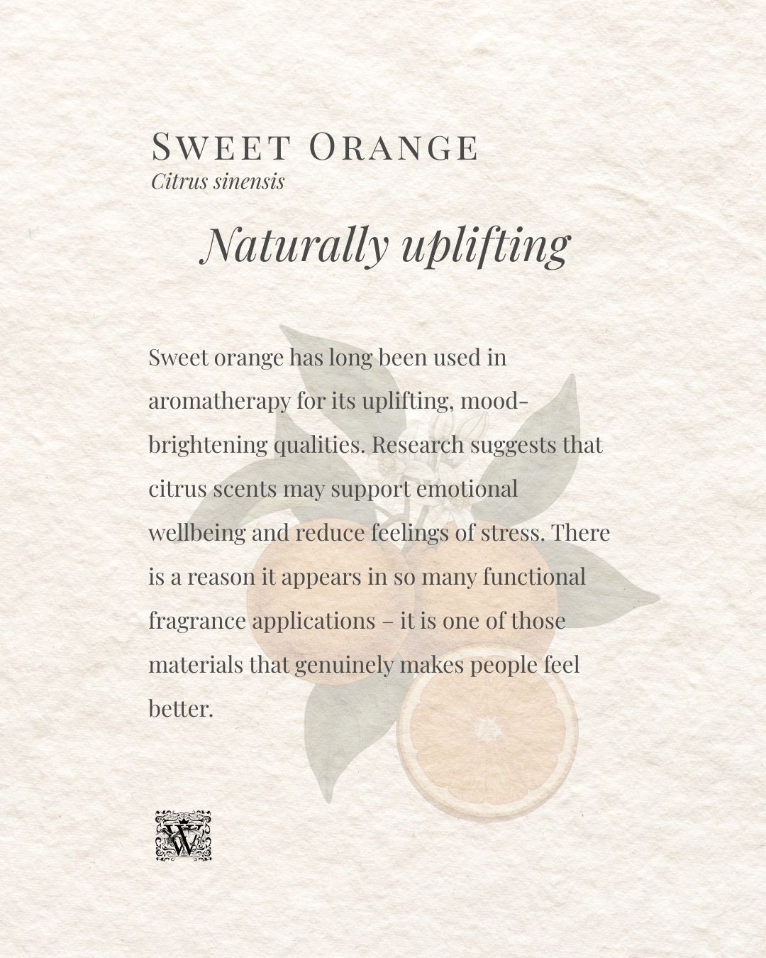 Sweet Orange naturally uplifting card by Wales Perfumery, describing the mood-brightening and stress-reducing qualities of Citrus sinensis in aromatherapy and functional fragrance