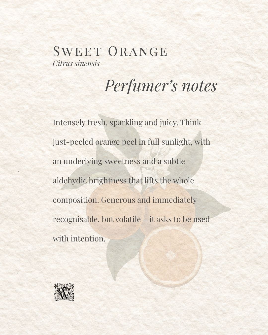 Sweet Orange perfumer's notes card by Wales Perfumery, describing Citrus sinensis as intensely fresh, sparkling and juicy with an aldehydic brightness and subtle underlying sweetness