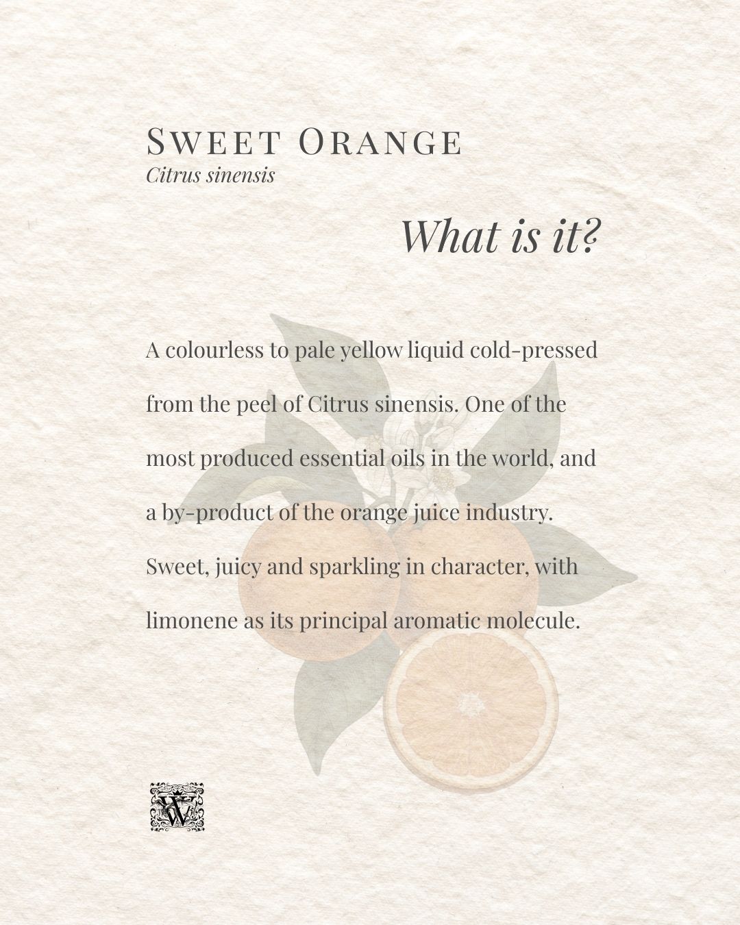 Sweet Orange what is it card by Wales Perfumery, describing Citrus sinensis as a pale yellow liquid cold-pressed from orange peel and one of the most produced essential oils in the world