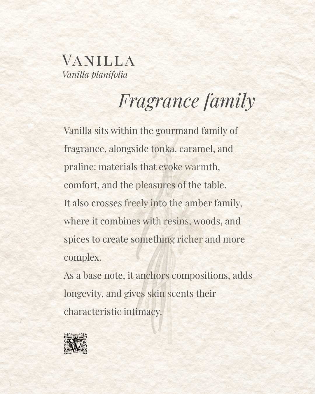 A fragrance family card for vanilla placing it in the gourmand and amber families, describing it as a base note that anchors compositions, adds longevity, and gives skin scents their characteristic warmth and intimacy.