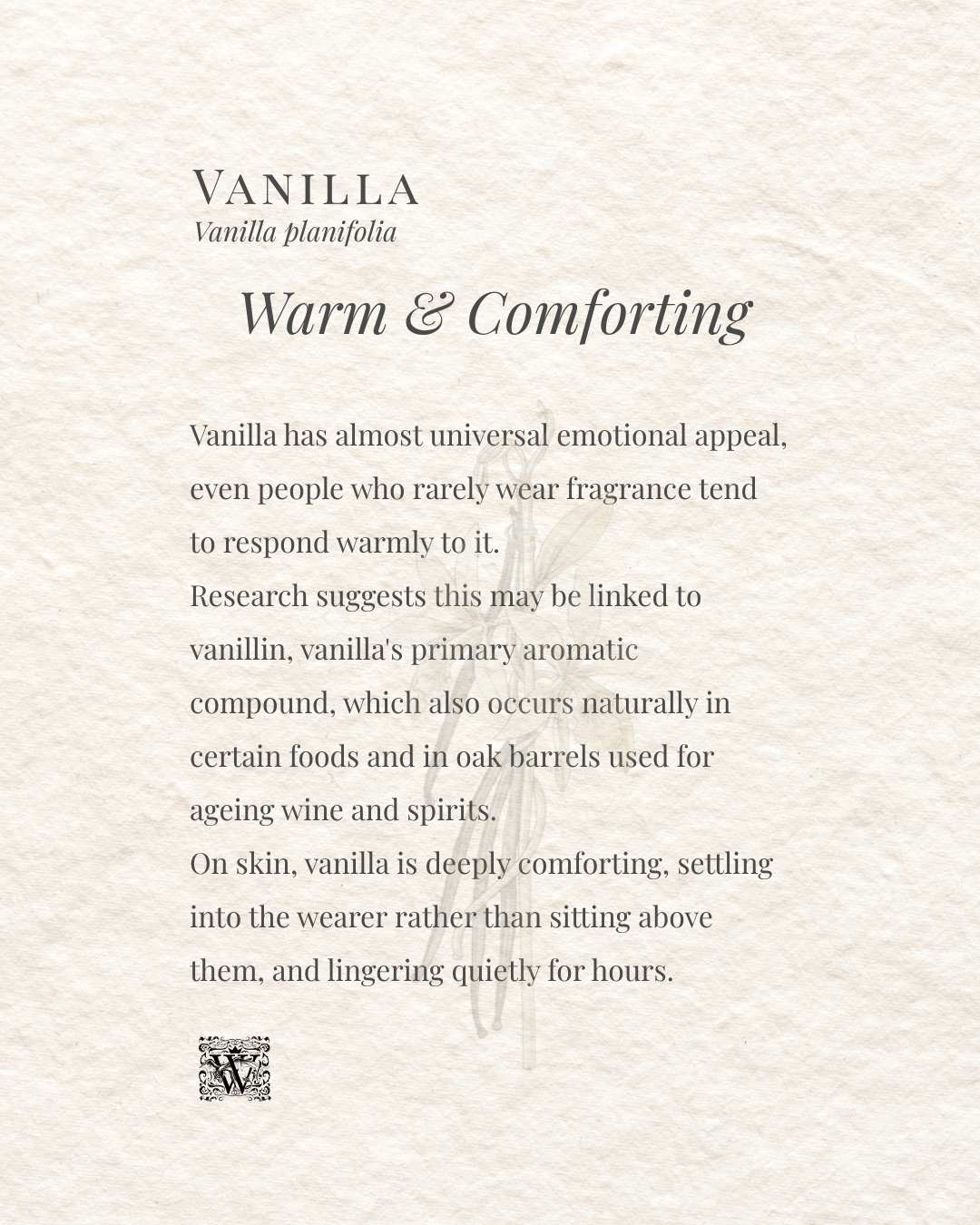 A mood card for vanilla describing its near-universal emotional appeal, its connection to vanillin found in foods and aged spirits, and its quality of settling into the skin and lingering quietly rather than projecting.