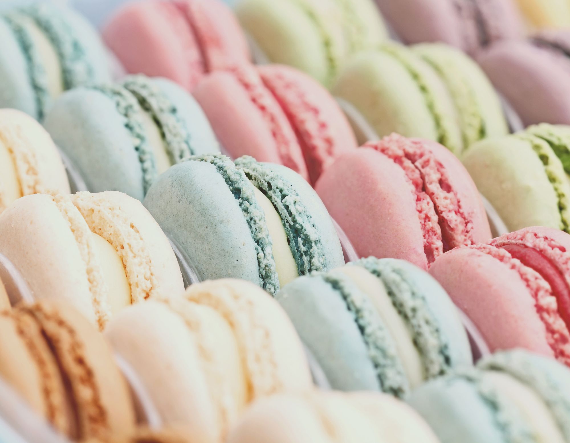 Rows of pastel macarons on a patisserie counter, the inspiration for the perfume layering library