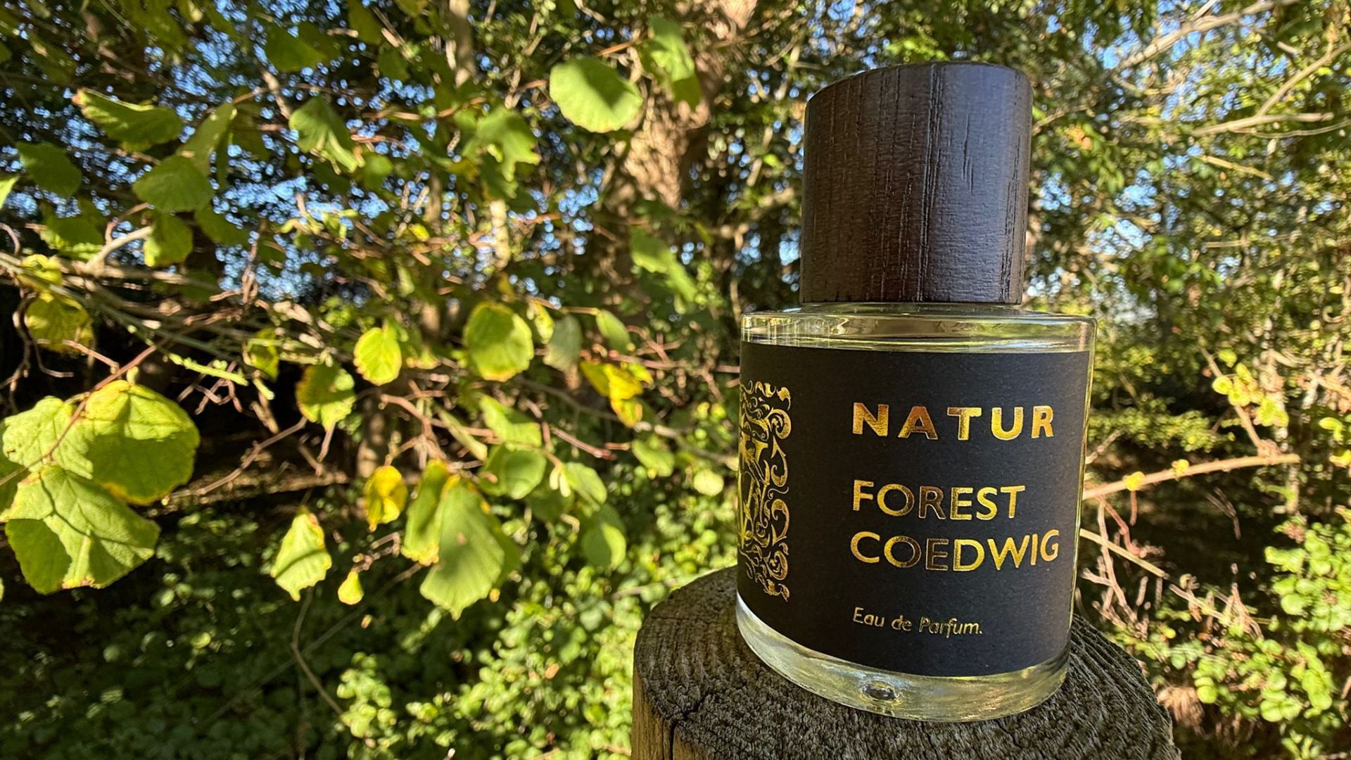 A glass perfume bottle with a dark wood-effect cap, labelled 'Natur Forest Coedwig Eau de Parfum' in gold text on a black label, resting on a wooden post surrounded by green forest foliage in dappled sunlight.