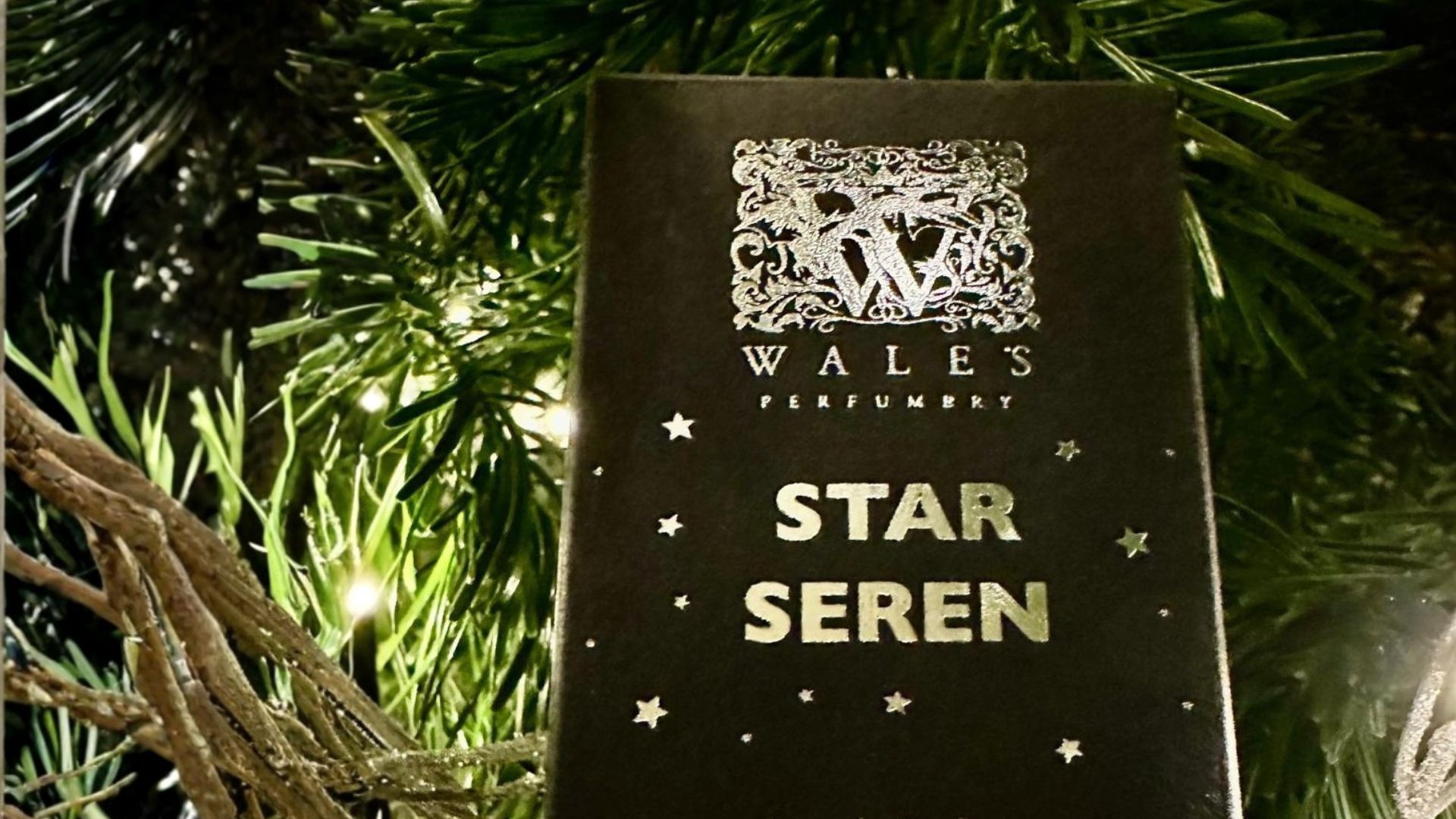 A black Wales Perfumery Star Seren perfume box with silver foil stars, nestled among Christmas tree branches and fairy lights.