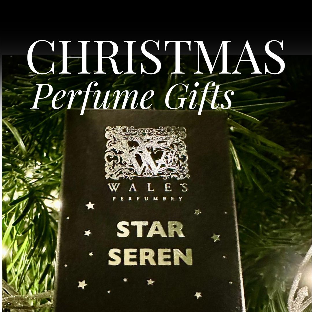 The words “Christmas Perfume Gifts” over a black Wales Perfumery Star Seren perfume box with silver foil stars, nestled among Christmas tree branches and fairy lights.